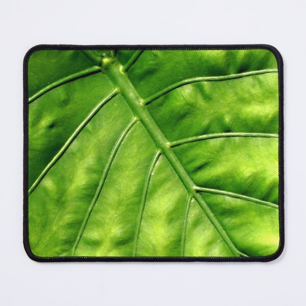 Item preview, Nature's solar panel designed and sold by Thaddeus Zajdowicz.