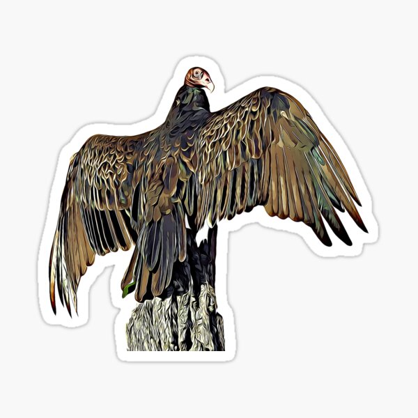 Item preview, Turkey Vulture  designed and sold by KxNation.