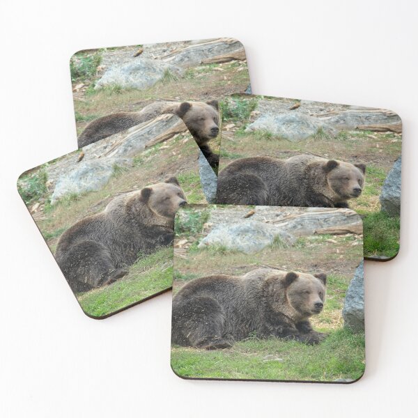 Item preview, Grizzly Bear designed and sold by Catherine Reading.