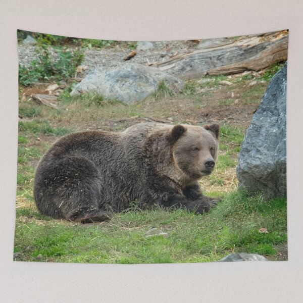 Item preview, Grizzly Bear designed and sold by Catherine Reading.