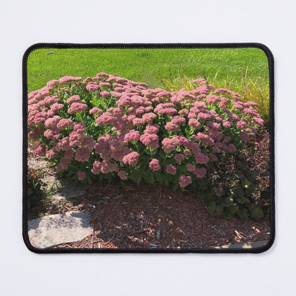 Item preview, Pink Flowers designed and sold by Julianna Rachie.