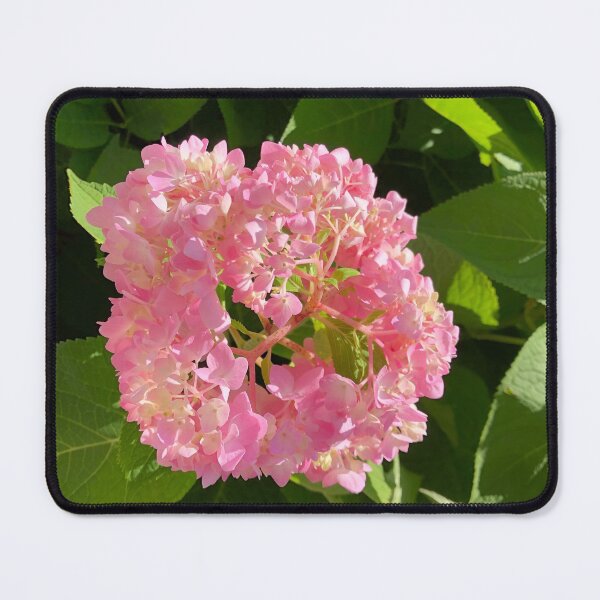 Item preview, Pink Bloom designed and sold by Julianna Rachie.