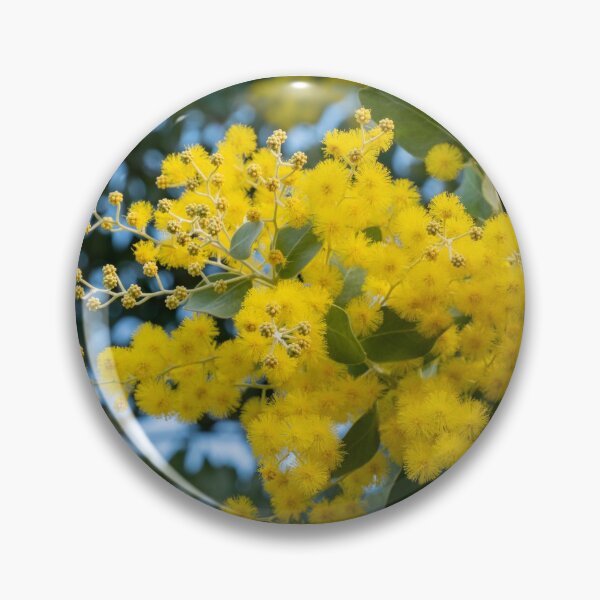 Item preview, Australian Golden Wattle (Acacia Pycnantha) designed and sold by rossacampbell.