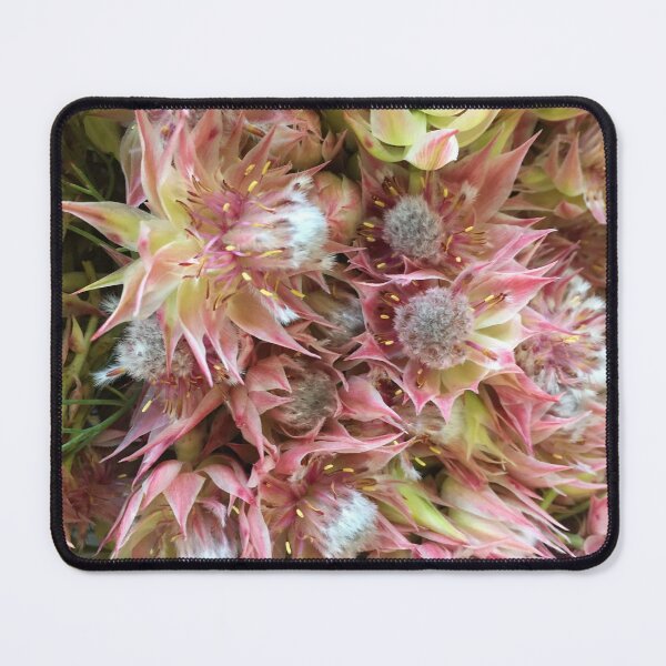 Item preview, Spikey Pinks designed and sold by ElemarArts.