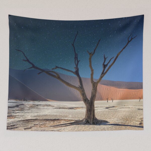Item preview, The old tree looking up designed and sold by RafaelLima7.