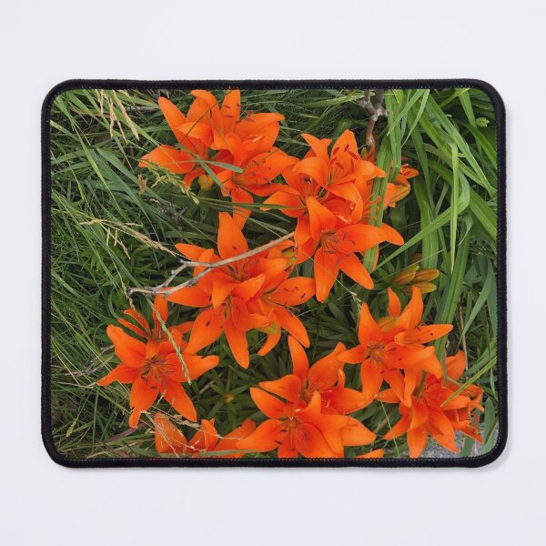 Item preview, Tiger Lilies designed and sold by Julianna Rachie.