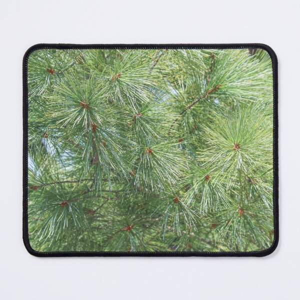 Item preview, Pine Tree Branches designed and sold by OneCreativePup.
