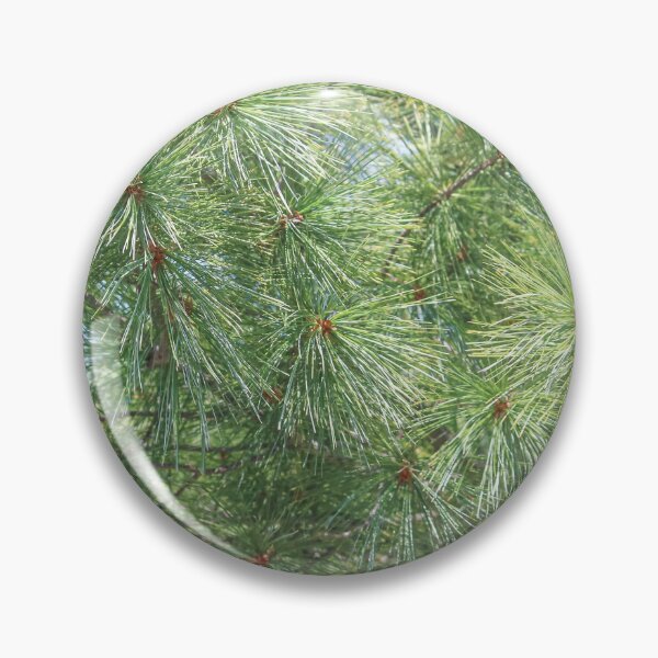 Item preview, Pine Tree Branches designed and sold by OneCreativePup.