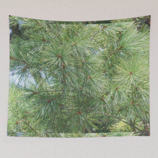 Item preview, Pine Tree Branches designed and sold by OneCreativePup.