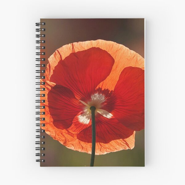 Item preview, The strange and magical flower designed and sold by RafaelLima7.