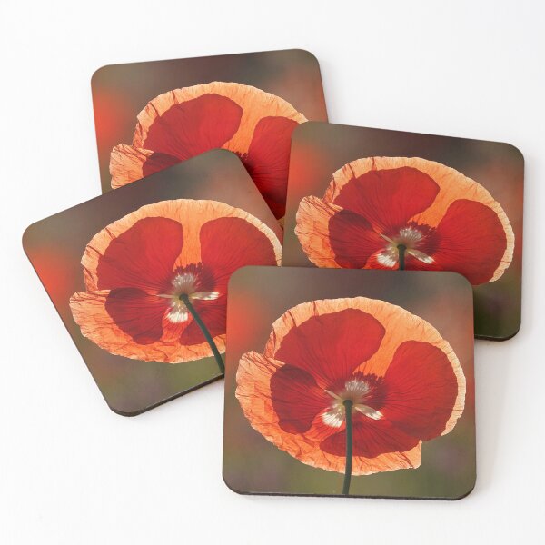 Item preview, The strange and magical flower designed and sold by RafaelLima7.
