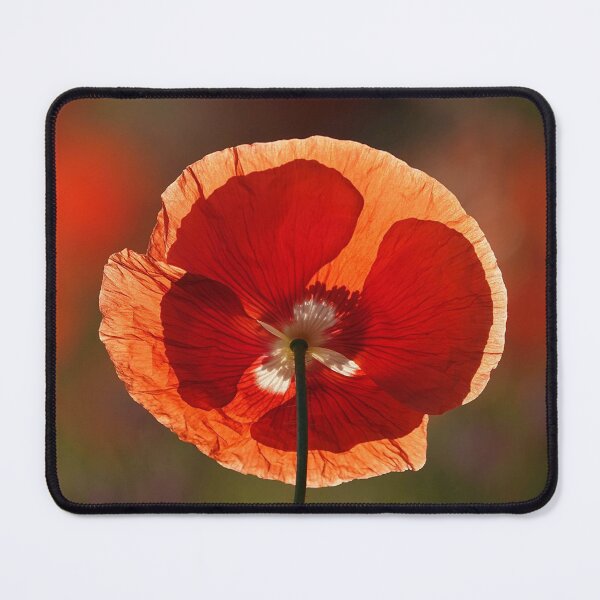 Item preview, The strange and magical flower designed and sold by RafaelLima7.