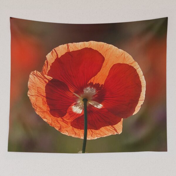 Item preview, The strange and magical flower designed and sold by RafaelLima7.