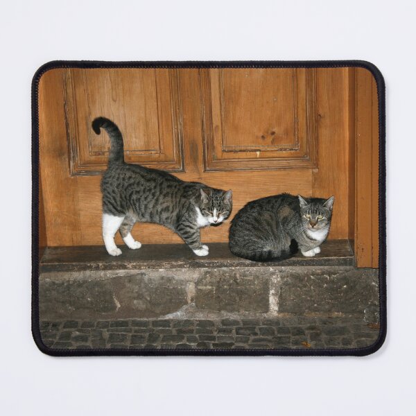 Item preview, Cats waiting for the milkman designed and sold by photoslot.