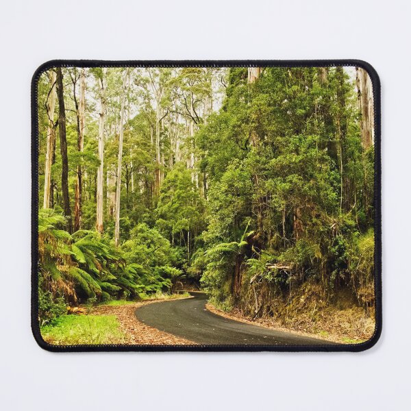Item preview, Forest Drive Great Otway National Park Australia designed and sold by Catherine Reading.