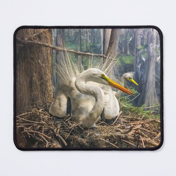 Item preview, Snowy Egret in Nest designed and sold by Candice Davis.