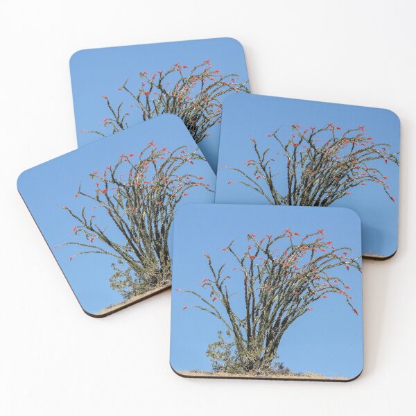 Item preview, Desert Ocotillo in Bloom designed and sold by heatherfriedman.