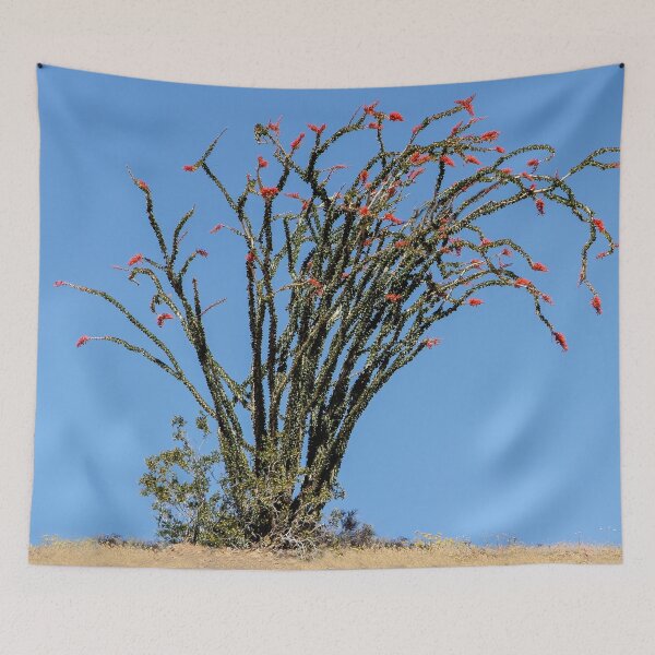 Item preview, Desert Ocotillo in Bloom designed and sold by heatherfriedman.
