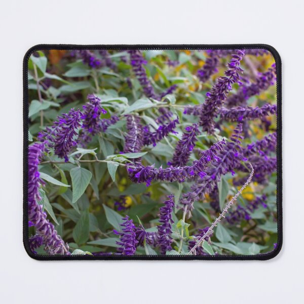 Item preview, Regal Purple Flowering Salvia designed and sold by FigTreeMagick.