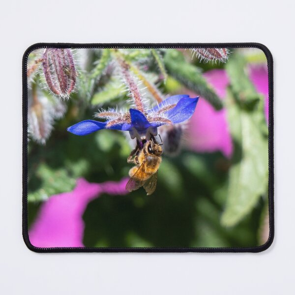 Item preview, Borage Hugging Bee designed and sold by FigTreeMagick.