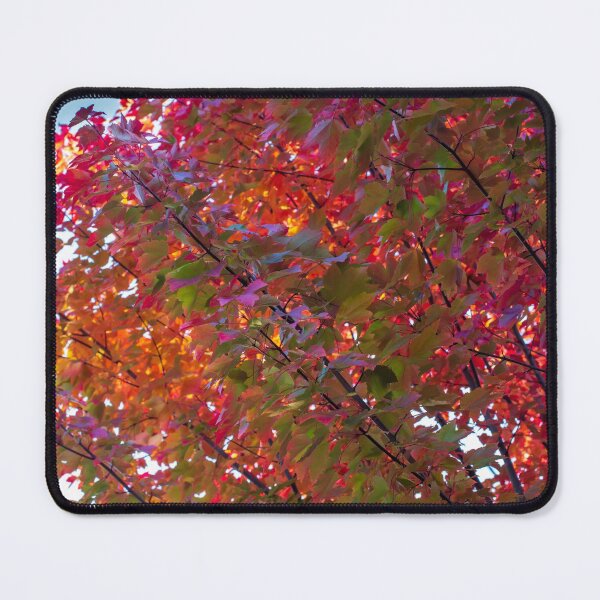 Item preview, Sun Painted Maple Leaves designed and sold by FigTreeMagick.