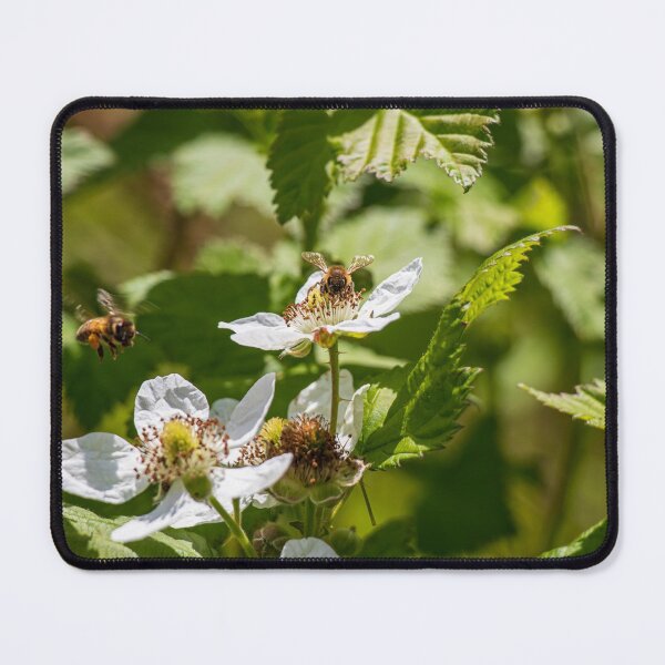 Item preview, Sunny Blossom Bee Pollinators  designed and sold by FigTreeMagick.