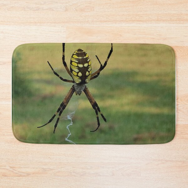 Item preview, Garden Spider designed and sold by SarahVGarrett.