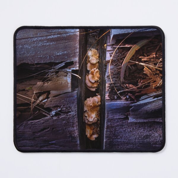 Item preview, Wood Sprung Fungus designed and sold by FigTreeMagick.