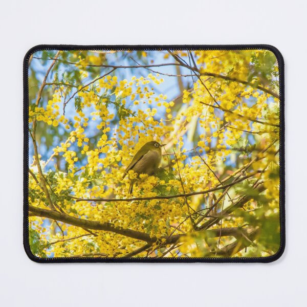 Item preview, Silvereye in Golden Wattle Boughs designed and sold by FigTreeMagick.
