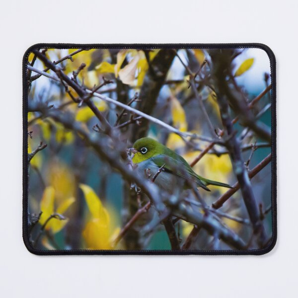 Item preview, Dusk Drawn Silvereye designed and sold by FigTreeMagick.