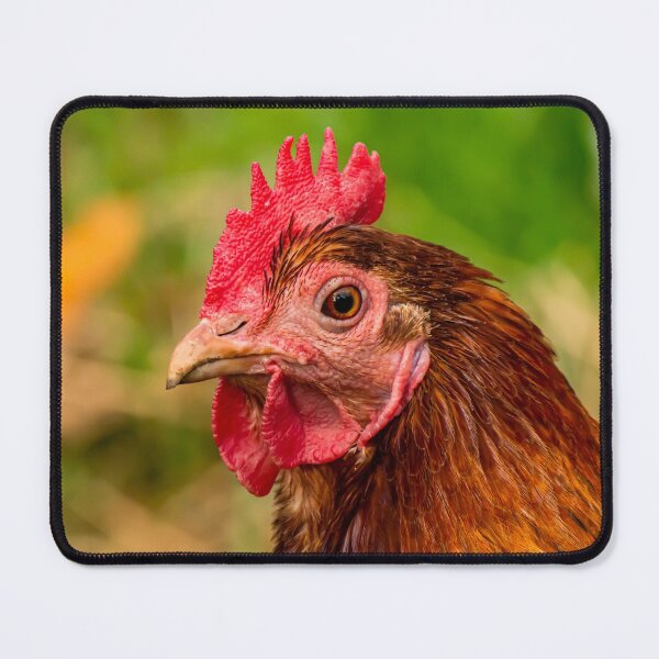 Item preview, The Intensity of Scotty the Red Bantam Hen designed and sold by FigTreeMagick.