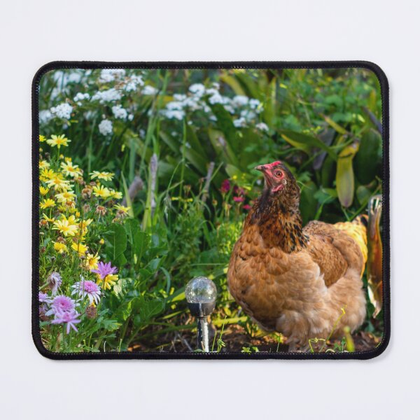 Item preview, Chook Friendly Garden designed and sold by FigTreeMagick.