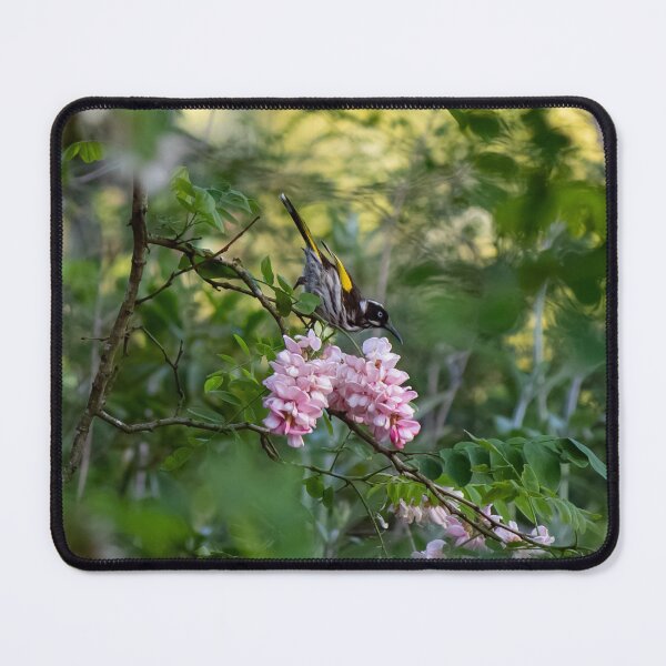 Item preview, New Holland Honey Eater Gathering Nectar designed and sold by FigTreeMagick.