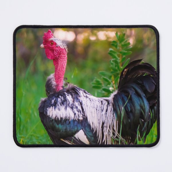 Item preview, Sleeves: The Proud Naked Neck Rooster designed and sold by FigTreeMagick.