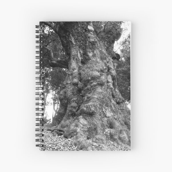 California Live Oak Series - 1 of 4 Spiral Notebook