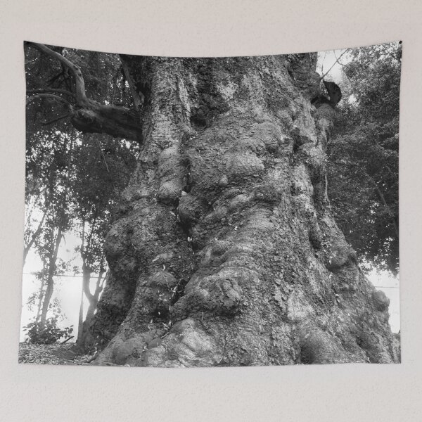 Item preview, California Live Oak Series - 1 of 4 designed and sold by Douglas E. Welch Design and Photography.