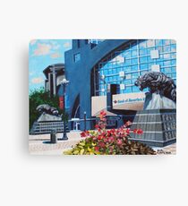 'PANTHERS STADIUM' Canvas Print