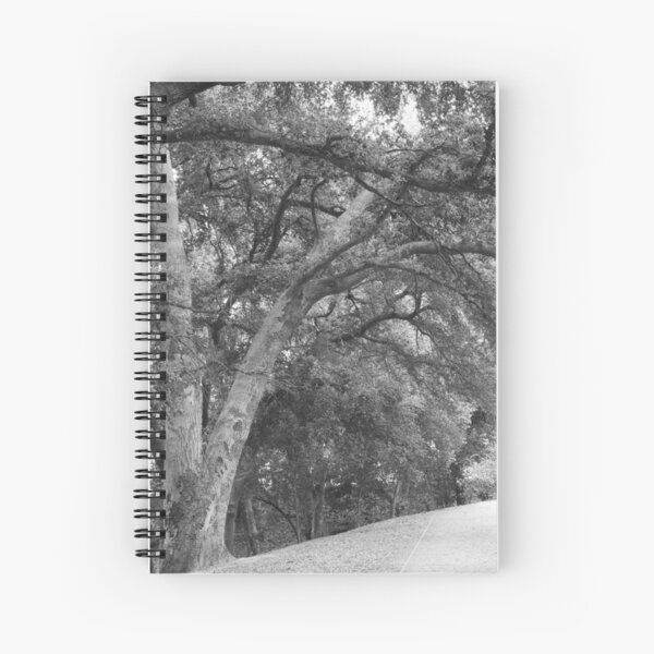 California Live Oak Series - 2 of 4 Spiral Notebook