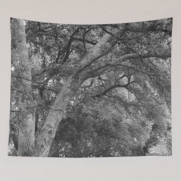 Item preview, California Live Oak Series - 2 of 4 designed and sold by Douglas E. Welch Design and Photography.