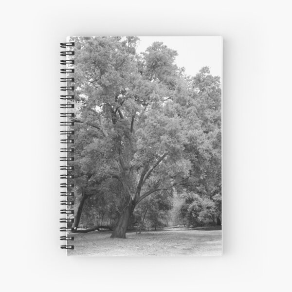 California Live Oak Series - 4 of 4 Spiral Notebook
