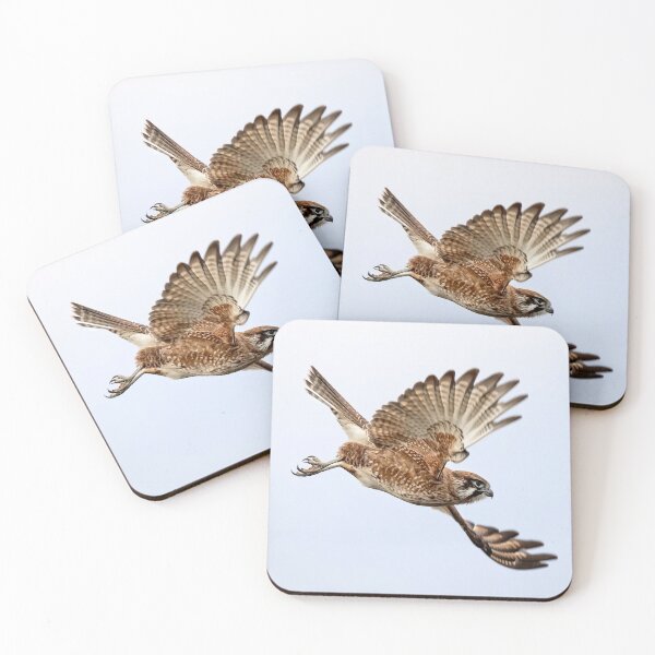 Item preview, Brown Falcon in flight.  designed and sold by DaveBassett.