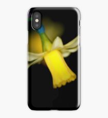 Daffodil iPhone Case/Skin