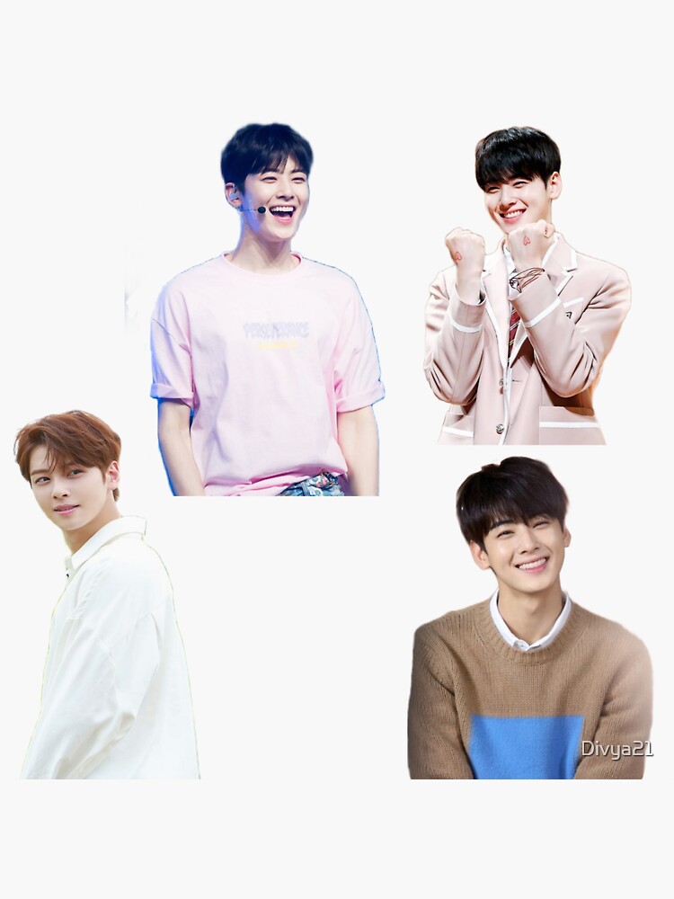 Cha eun woo astro member  Sticker for Sale by Divya21