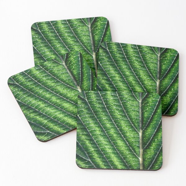 Item preview, Leaf Veins designed and sold by Huskyyy Designs.