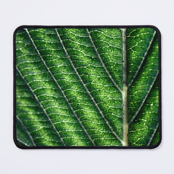 Item preview, Leaf Veins designed and sold by Huskyyy Designs.