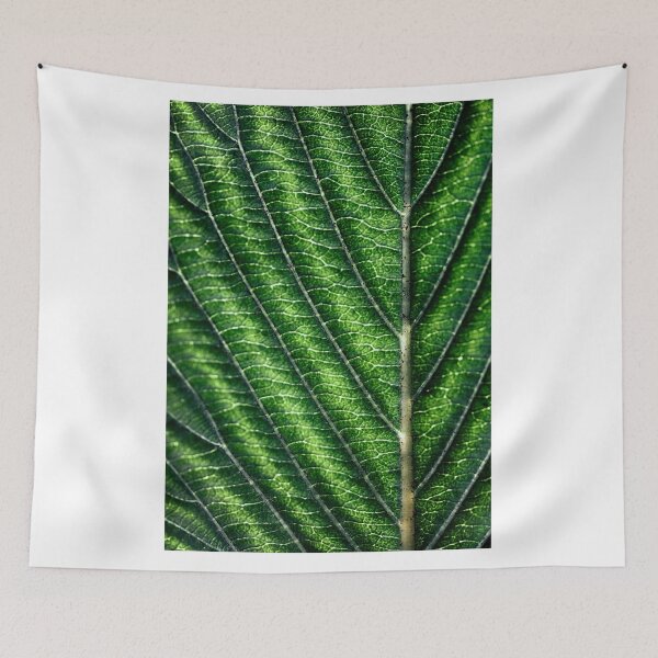 Item preview, Leaf Veins designed and sold by Huskyyy Designs.