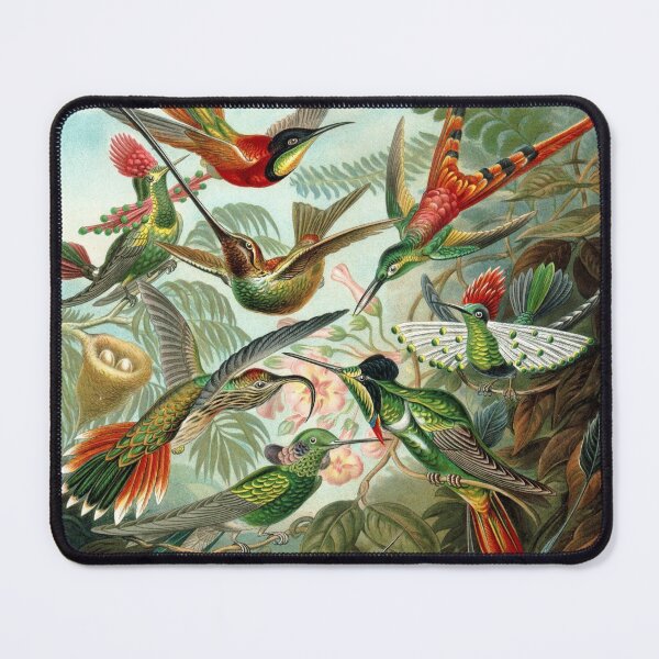 Item preview, Hummingbirds designed and sold by rapplatt.
