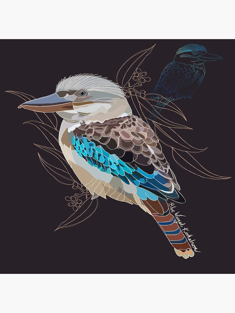 "Kookaburra " Sticker for Sale by poppybludesign Redbubble