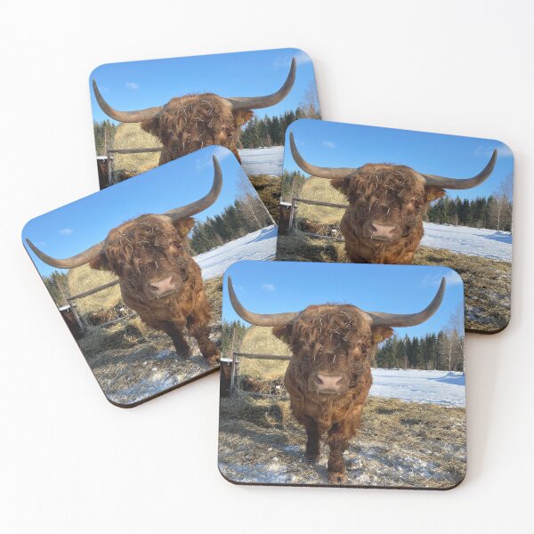 Item preview, Scottish Highland Cattle Bull with big horns in snow 2762 designed and sold by SaarelaHighland.