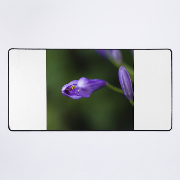 Item preview, Young Aggy designed and sold by Huskyyy Designs.